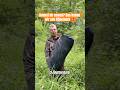 Eigentlich gar nicht so schlecht fürs Revier 🤷♂️🌿 - Jagd auf Schwarzwild an der Kirrung #jagd