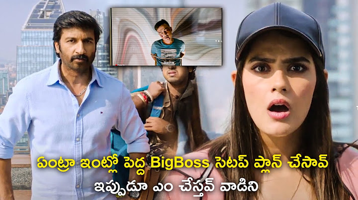 Gopichand Meets Heroine First Time | Cute Romantic Scene | Viswam Movie | Telugu Movie Player