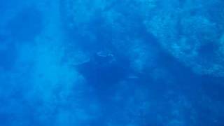 CIMG9105.AVI