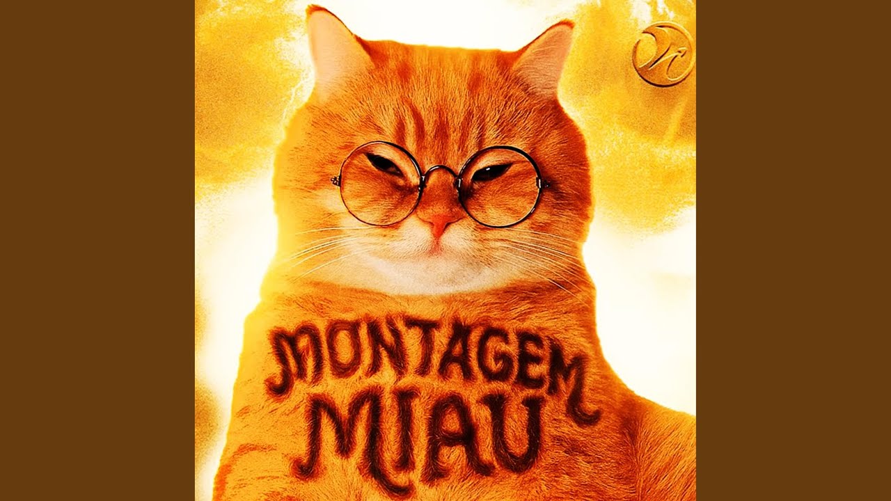 MONTAGEM MIAU