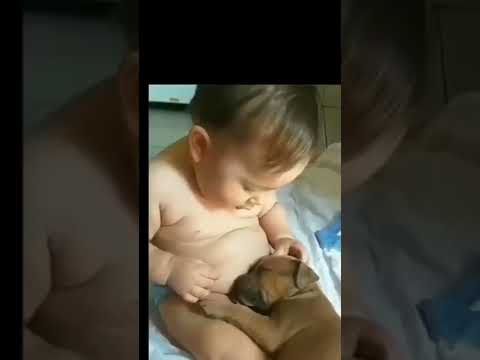Little Baby Cute Video Baby Videos Cute Baby Kids Videos Lavi Official