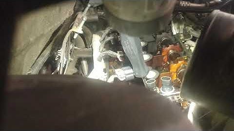 Ecotech timing chain jumped.