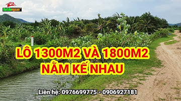 Đất ven Phan Thiết 1300m2 giá 280 ngàn/m2 - nhà đất Bình Thuận giá cực rẻ #1 | Bất động sản tv