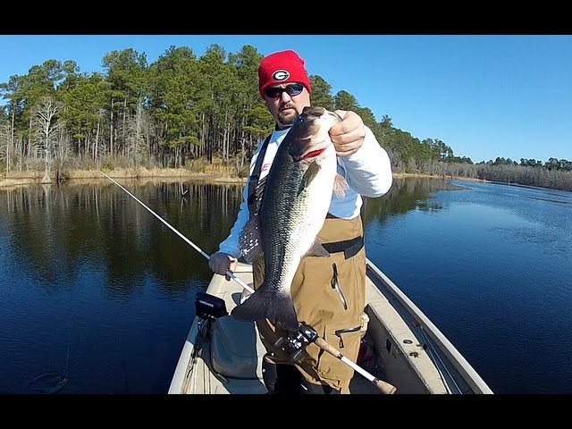 Winter Tips For Dropshot and Ned Rig Fishing 