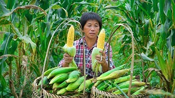 掰两箩筐玉米，提取洁白精细玉米淀粉，做杂粮糕凉糕肉羹嫩滑香甜|Corn Starch【闽湖阿嬷Fujian Grandma】