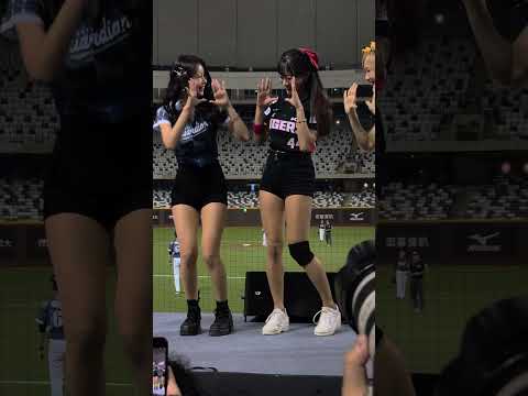 baseball cheerleading #cheerleading