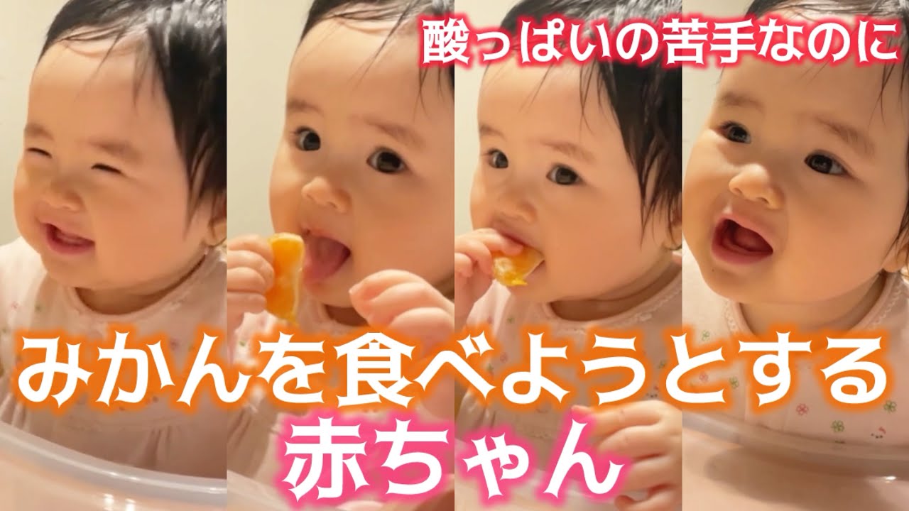 11 months old] 👶Does he like mandarin oranges? 🍊 - YouTube