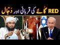  red heifers in israel vs palestine   dajjal vs esa maseeh     engineer muhammad ali