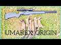 Squirrel Hunting- Umarex Origin .22