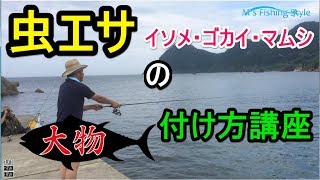 海釣りでよく使う釣りエサの種類と付け方 ゴカイやイソメ マムシ 本虫 イカ ゲソ オキアミ 生 ボイル エビ シラサエビ アサリなどよく使うエサを針につける方法 よく使うエサの種類と付け方 エムズフィッシングスタイル 関西や沖縄を中心に釣り全般
