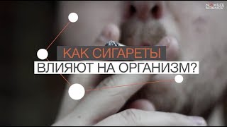 Как Сигареты Влияют На Организм?