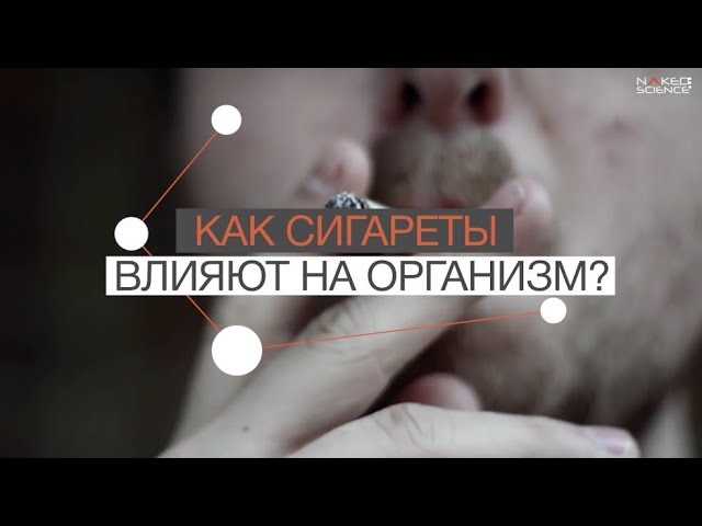 Как сигареты влияют на организм?
