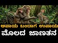 ಆಪಾಯ ಬಂದಾಗ ಉಪಾಯ - ಮೊಲದ ಜಾಣತನ | ಕನ್ನಡ ನೀತಿ ಕಥೆಗಳು | Best Kannada moral stories