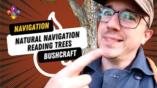 Reading Trees - Natural Navigation (Activity) | SCOUTADELIC