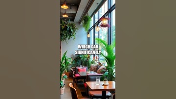 Discovering Hidden Productivity Hacks for Digital Nomads