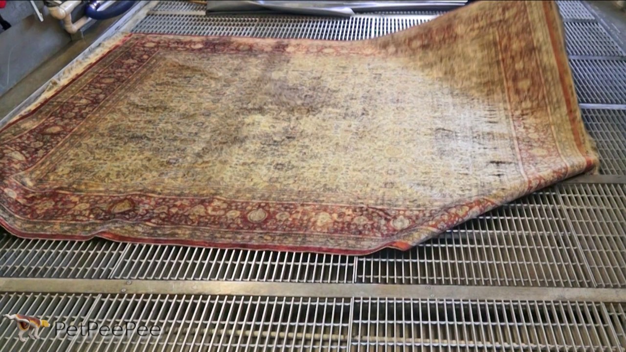 PetPeePee CompanyCleaning Extra Fine Turkish Silk Rug from dog pee