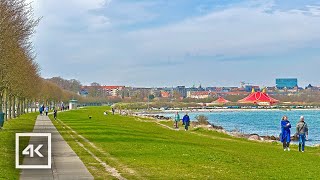 🇩🇰  Aarhus, Denmark - Walking Tour 4K UHD 60fps - April 2023