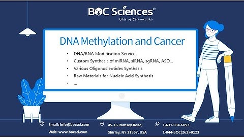 DNA Methylation and Cancer - DNA Methylation in Cancer Cells - DNA Methylation - DNA Modification