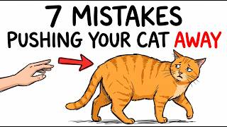7 Mistakes That Are Slowly Breaking Your Cat’s Trust