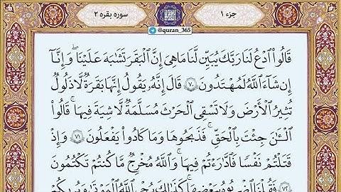 تلاوت روزانه قرآن با ترجمه تصویری – سوره بقره – صفحه 11 | Quran Kareem