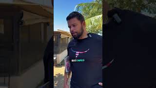 Melhores Galos Reprodutores To Galismo Brasileiro