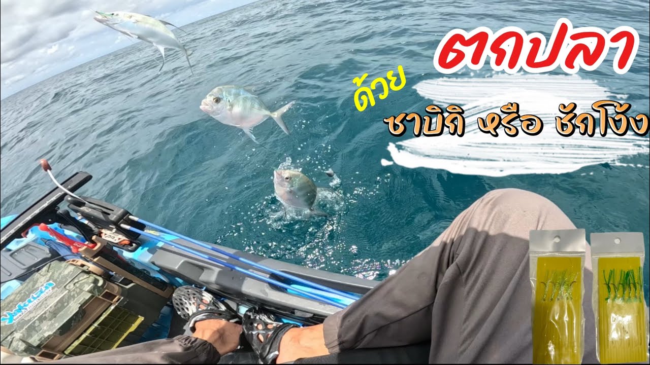 คายัคตกปลา หาปลาแกงด้วยซาบิกิหรือชักโง้ง นักตกปลาต้องมีติดใว้ Shore Sabiki jigging