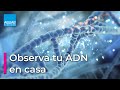 Observa tu ADN en CASA | Experimentos