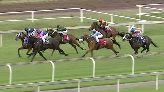 Vidéo de la course PMU PRIX FURIOUS ROOM NOW OPENED PINNACLE STAKES