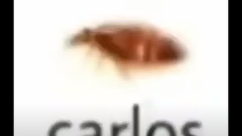 Consistency pack complete (Click consistency  v3, Lamp Level 1, shulk ABP)      (kinda cool demon)