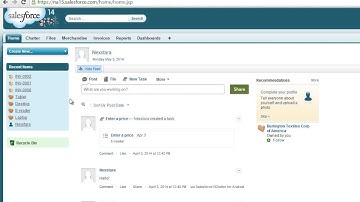 Nexstara Salesforce Force.com Workbook Walkthrough - Chapter 1 Section 6 - The Import Wizard