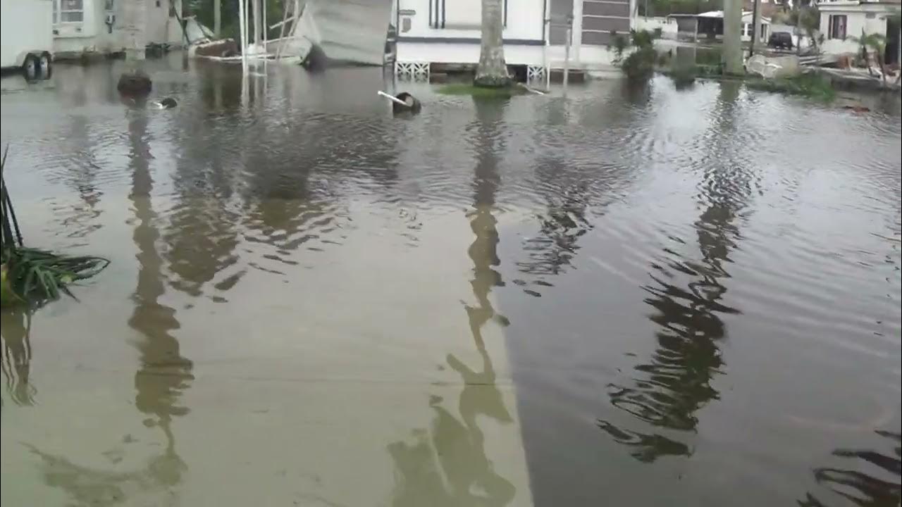 Iona Gardens Hurricane Ian Video 02 YouTube