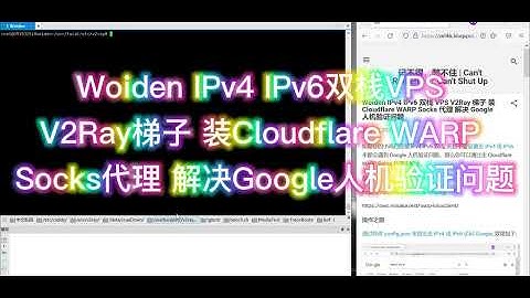 Woiden IPv4 IPv6双栈VPS V2Ray梯子 装Cloudflare WARP Socks代理 解决Google人机验证问题
