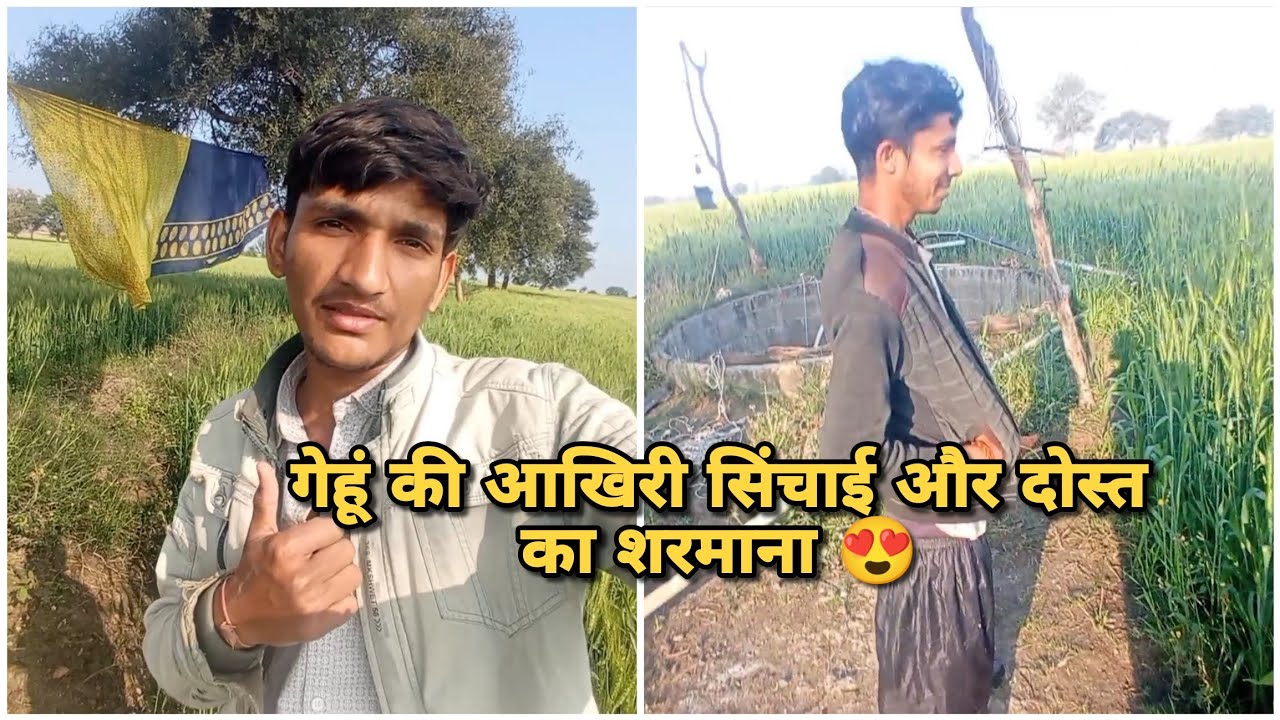 ​गेहूं की आखिरी सिंचाई और दोस्त की मस्ती 😍🌾#kisan #farming #villagelife