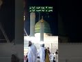 Muhammad[SAW] ka roza | Madina #shorts