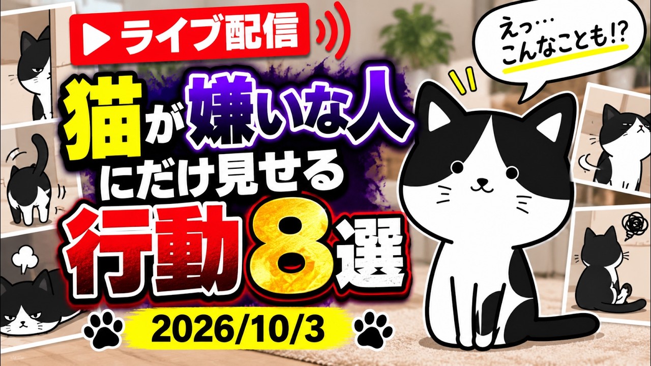 【10/3 生配信】猫が嫌いな人にだけ見せる行動8選を獣医師が解説します【アーカイブは10/5まで】
