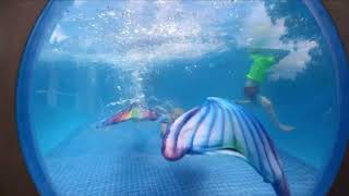 Help Me Win My FinFun Contest
