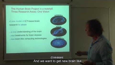 07 cortical networks out of the blue project 01 lesson 7 07 the human brain project