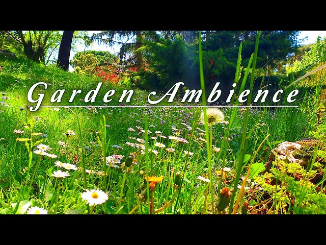 Healing Nature Meditation 🌳 GARDEN AMBIENCE 🌿 Relaxing Spring Sounds on a Lovely Sunny Morning class=