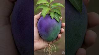 New Mango Tree Planting Methods To Harvest Mangos #shorts #farming #satisfying