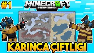 Efsane Yeni̇ Seri̇ Minecraft Pe Karınca Çiftliğinde Survival