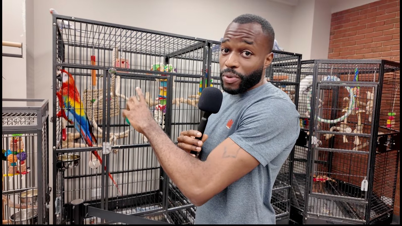 INSIDE The Greatest Parrot Store On Earth