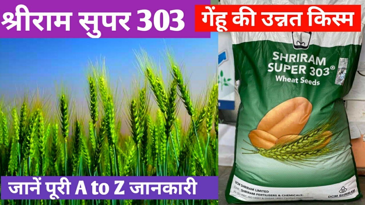 303-a-to-z-shriram