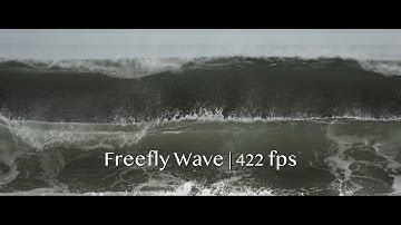 Freefly Wave Surf | 4k 422fps