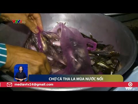 Video Chợ 