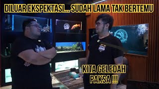 GELEDAH PAKSA !! HARGA IKAN PREDATOR TERKINI DI HOBIES SENIOR IKAN PREDATOR IMPORT DAN MEWAH