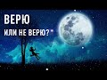 Верю или не верю? Прямая трансляция 29.08.21