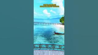 OMBIN ARBOREK BIN RAJA AMPAT