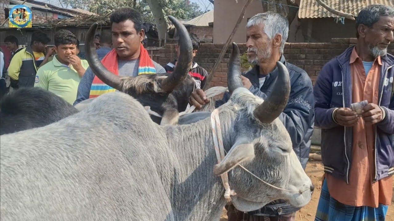 @ শনিবার ১৪ ফেব্রু