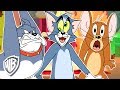 Tom Et Jerry En Français Le Désastre De La Maison WB Kids 