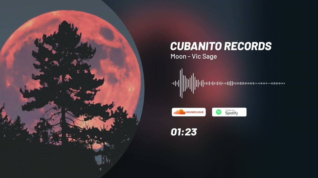Moon - Vic Sage / Cubanito Records No Copyright Music